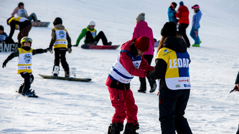 En bild