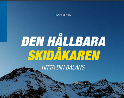 En bild