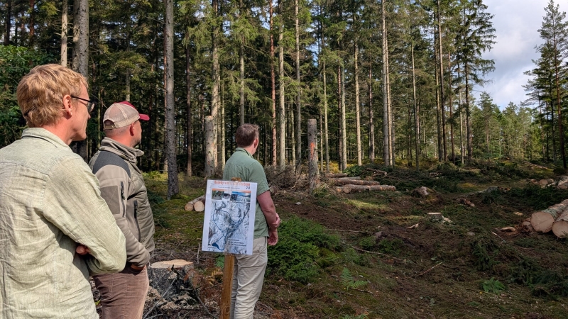 Nya slingor i Rödeby Vintersportcentrum