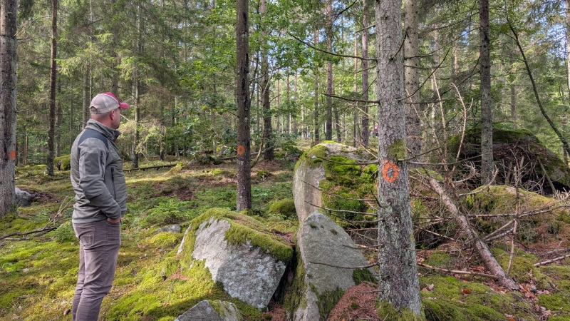 Robert blickar ut över en av tre uppförsbackar som ska passera och utnyttja samma kulle.